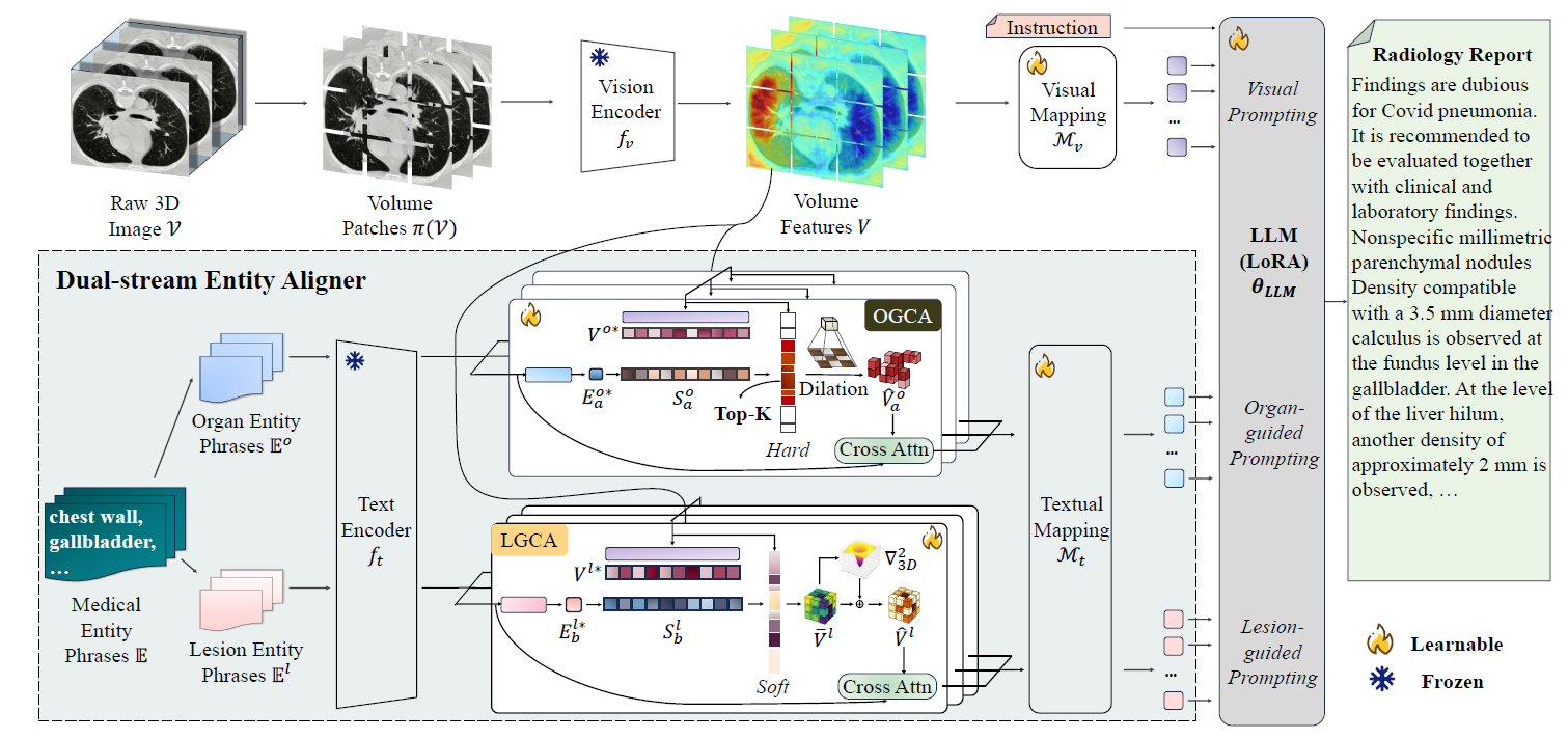Mitigating Entity Hallucinations in 3D Radiology Report Generation via Dual-Stream Alignment